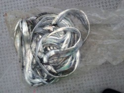 さんさん丸 釣果