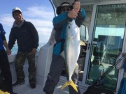 シーマジカル 釣果