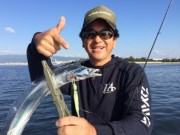 シーマジカル 釣果