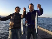 シーマジカル 釣果