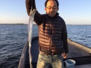 シーマジカル 釣果