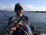 シーマジカル 釣果