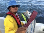 シーマジカル 釣果