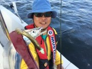 シーマジカル 釣果