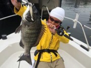 シーマジカル 釣果