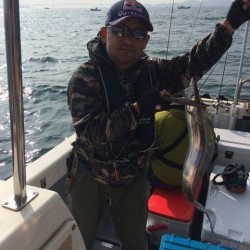 さんさん丸 釣果