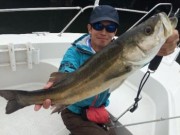 シーマジカル 釣果