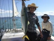 シーマジカル 釣果