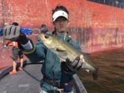 シーマジカル 釣果