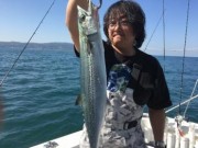 シーマジカル 釣果