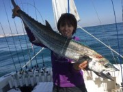 シーマジカル 釣果