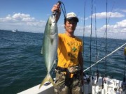 シーマジカル 釣果