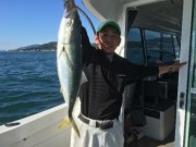 シーマジカル 釣果