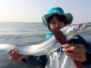 シーマジカル 釣果