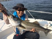 シーマジカル 釣果