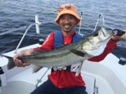 シーマジカル 釣果