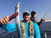 シーマジカル 釣果