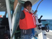 シーマジカル 釣果