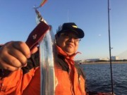 シーマジカル 釣果