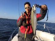 シーマジカル 釣果