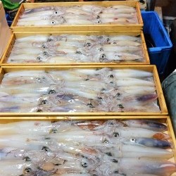 宝生丸 釣果