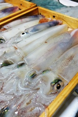 宝生丸 釣果