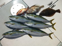 ふじしめ丸 釣果