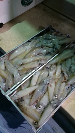 宝生丸 釣果