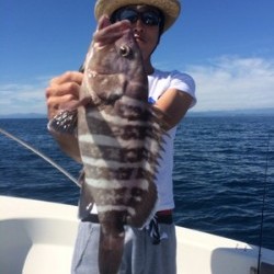 Blue.win 海人丸 釣果