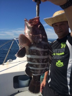 Blue.win 海人丸 釣果