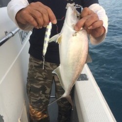 Blue.win 海人丸 釣果