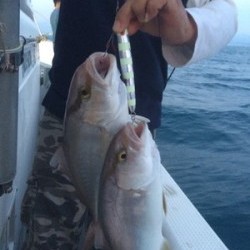 Blue.win 海人丸 釣果