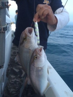 Blue.win 海人丸 釣果