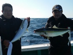 清和丸 釣果