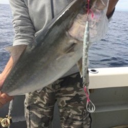 Blue.win 海人丸 釣果