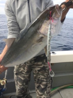 Blue.win 海人丸 釣果