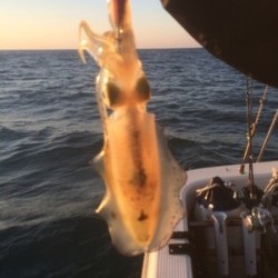 Blue.win 海人丸 釣果