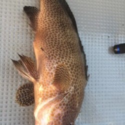 Blue.win 海人丸 釣果