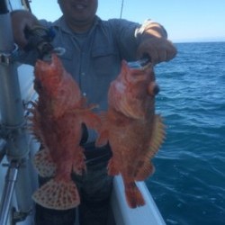 Blue.win 海人丸 釣果