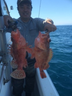 Blue.win 海人丸 釣果