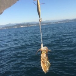 Blue.win 海人丸 釣果