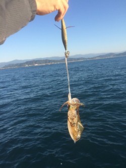 Blue.win 海人丸 釣果