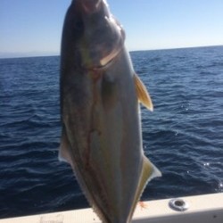 Blue.win 海人丸 釣果