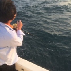 Blue.win 海人丸 釣果