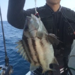 Blue.win 海人丸 釣果