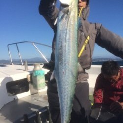 Blue.win 海人丸 釣果