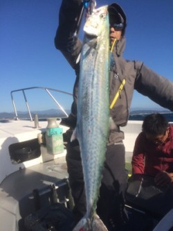 Blue.win 海人丸 釣果