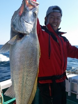 清和丸 釣果