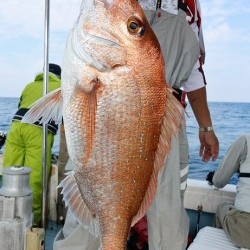 宝生丸 釣果