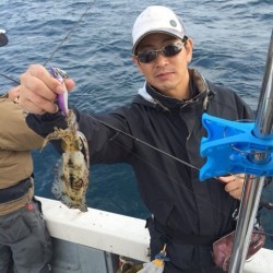 エヌスタイル 釣果